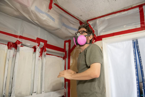 Best Mold Remediation for Vacation Homes  in USA